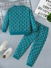 Stylish toddler boy wearing a trendy color block two piece outfit perfect for spring or autumn The outfit features a comfortable soft knit fabric in a vibrant color block design