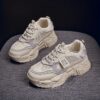 Newness Seoul Street Style Chunky Platform Sneakers A pair of trendy chunky platform sneakers in a stylish design
