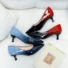 Newness Gradient Mary Jane Heels Chic pointed toe pumps in a gradient color design perfect for elevating any outfit