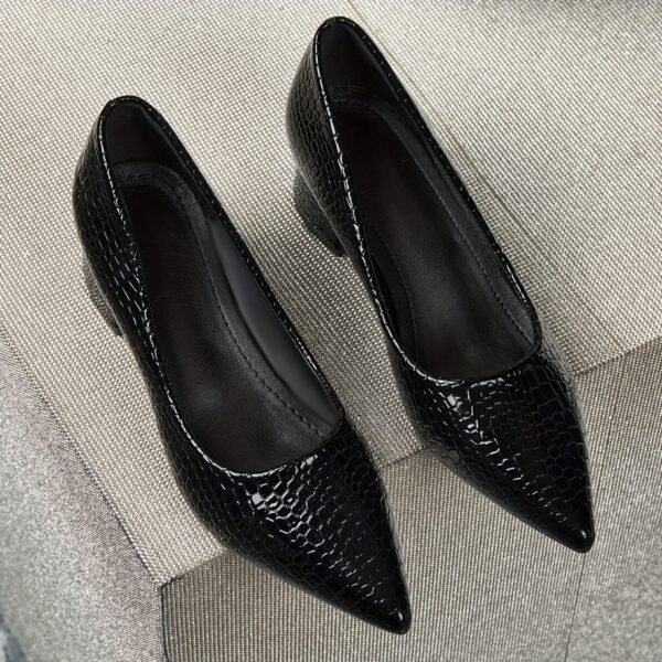 Newness Versatile Comfortable Heeled Shoes in various colors showcasing their elegant design and comfort